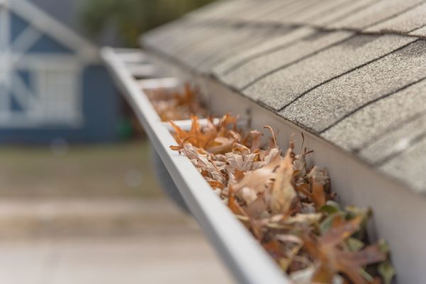 Leaf Barrier Installation in Rocky Mount